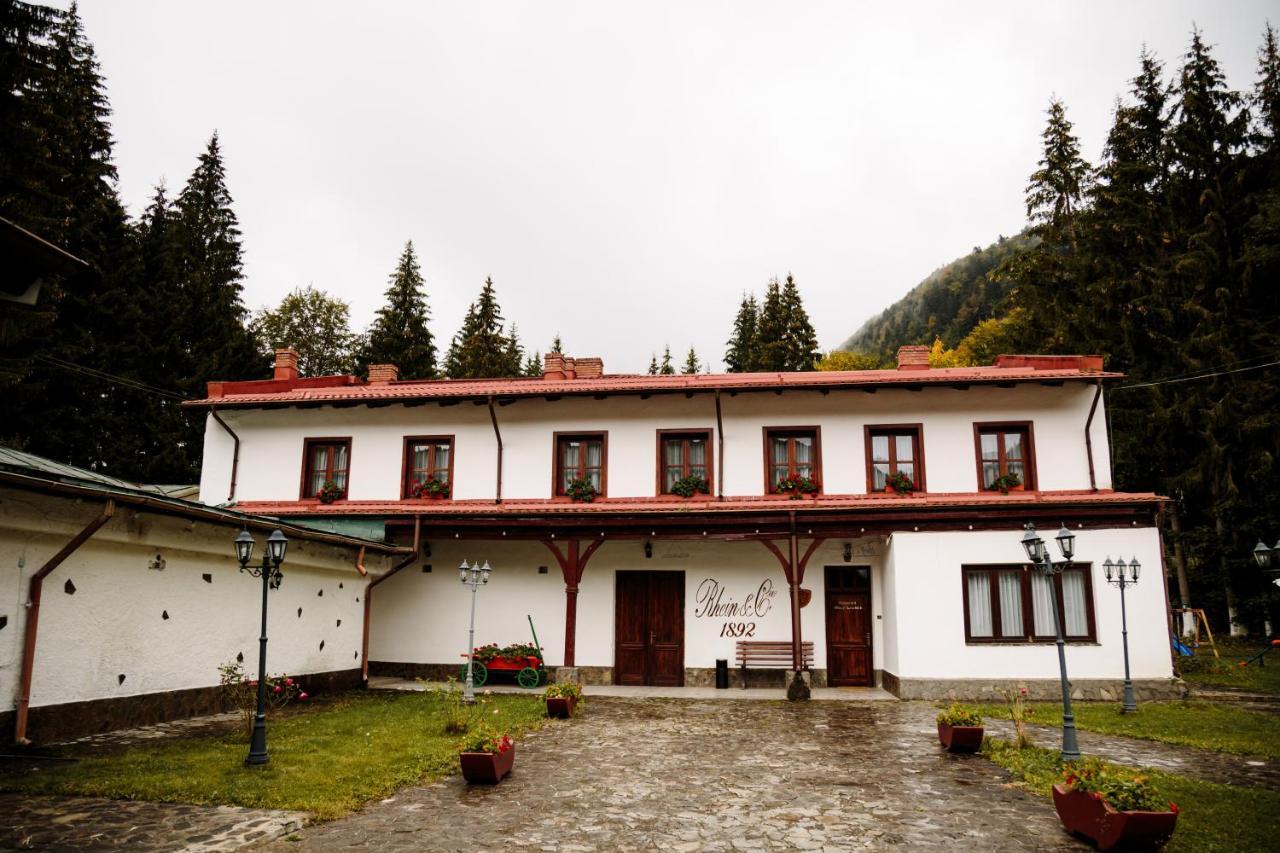 Pensiunea Rhein Азуга Екстер'єр фото