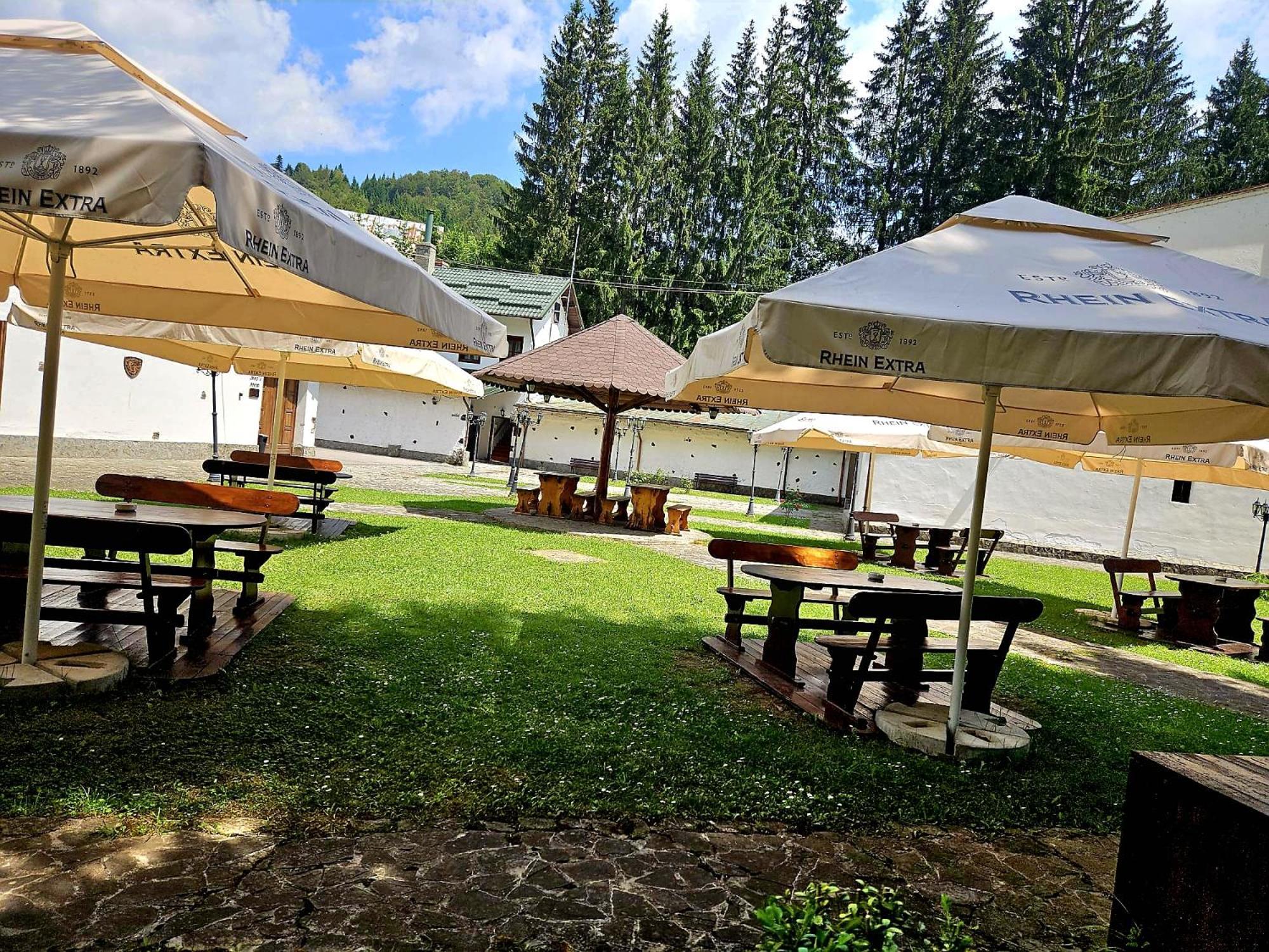 Pensiunea Rhein Азуга Екстер'єр фото