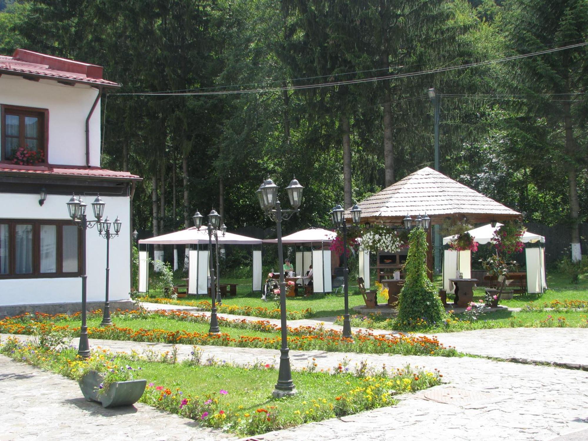 Pensiunea Rhein Азуга Екстер'єр фото
