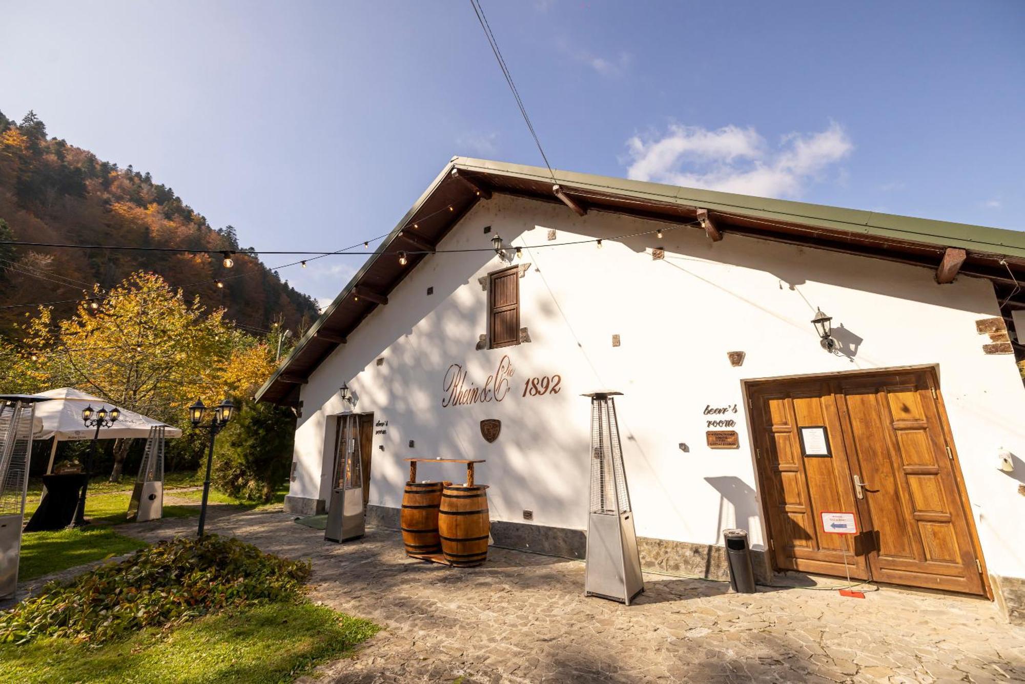 Pensiunea Rhein Азуга Екстер'єр фото