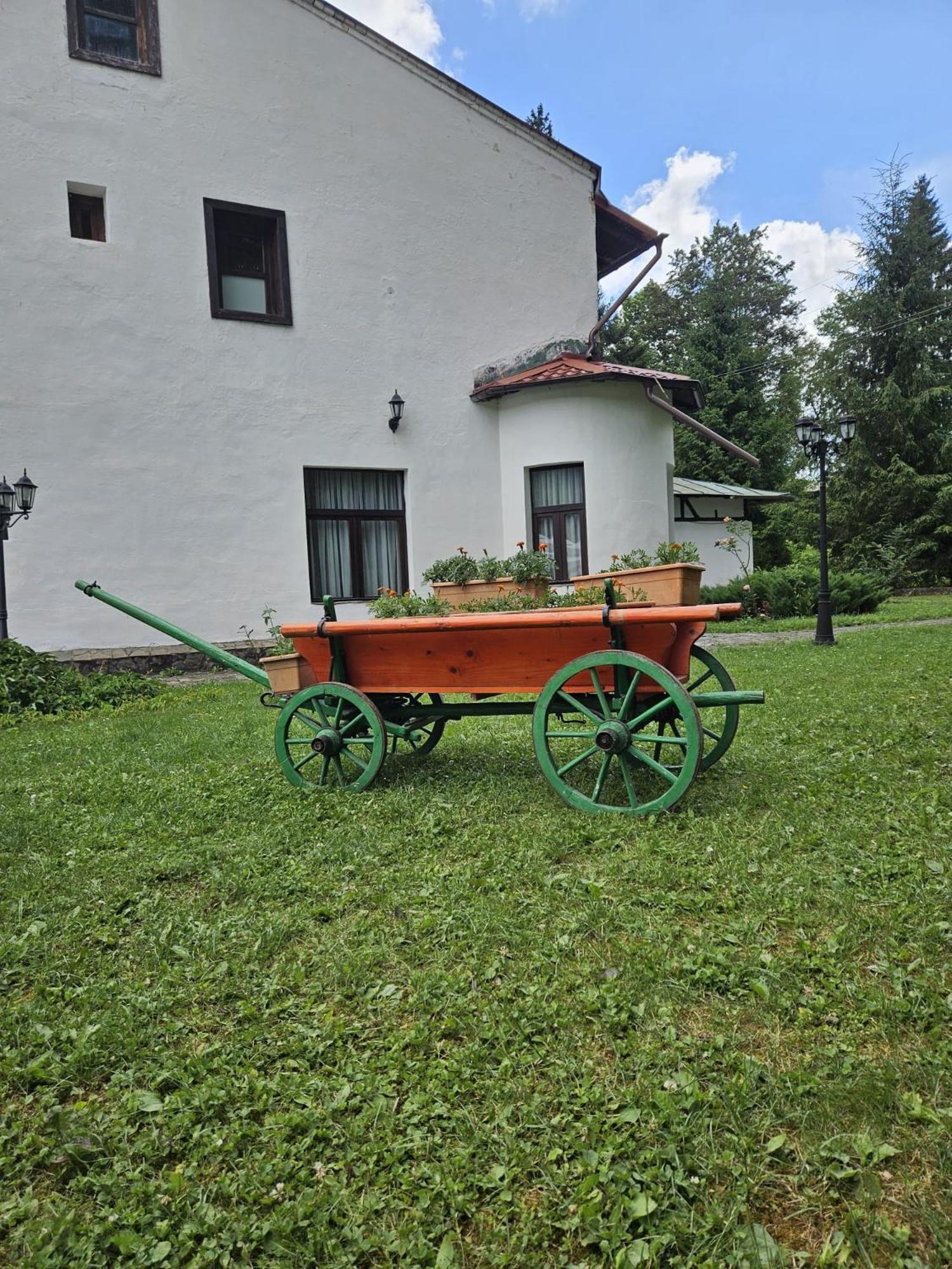 Pensiunea Rhein Азуга Екстер'єр фото