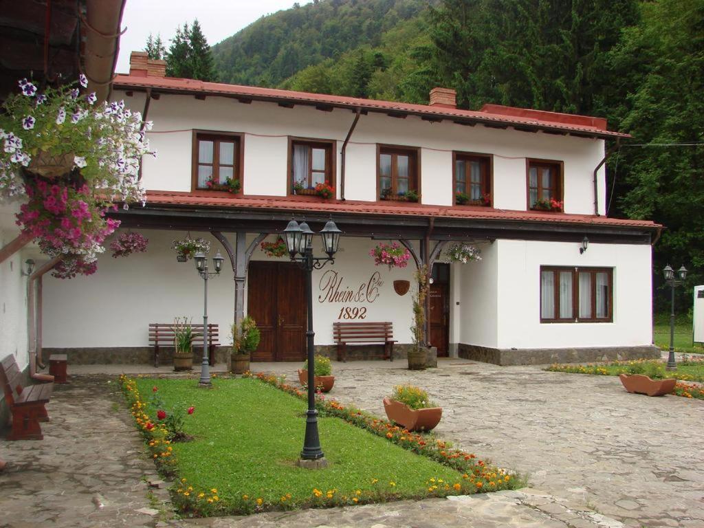 Pensiunea Rhein Азуга Екстер'єр фото